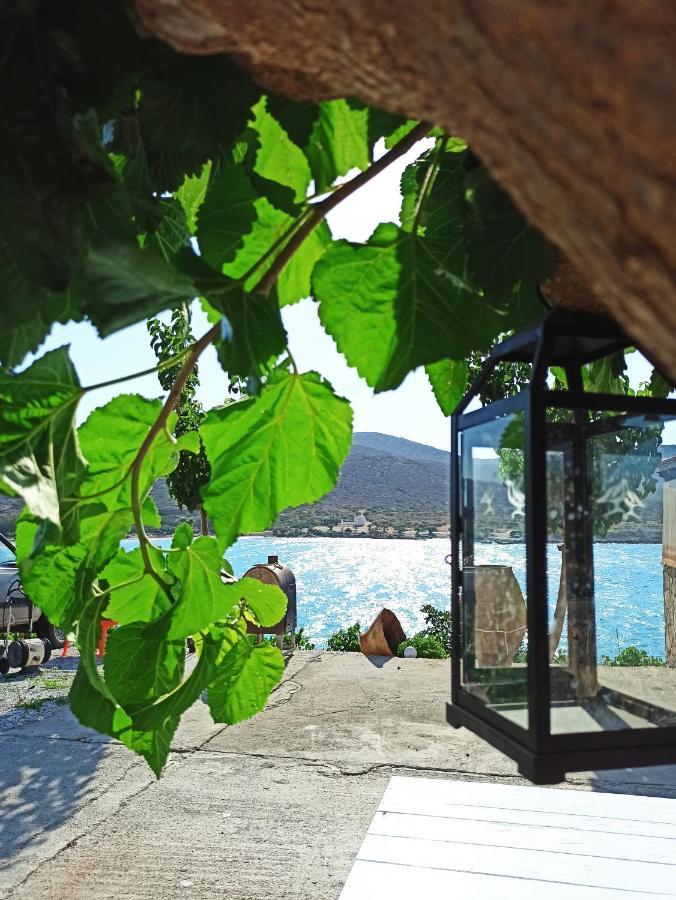 Tholos Alexandra'S Beachfront House Kavousi  Ngoại thất bức ảnh